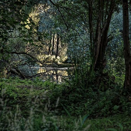 Les Cabanes Des Marais La Madelaine-sous-Montreuil Esterno foto
