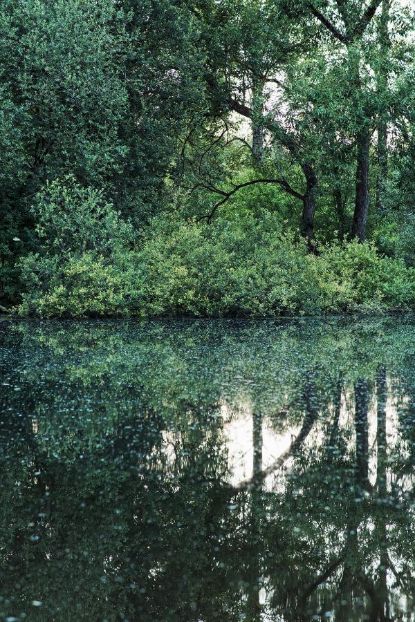 Les Cabanes Des Marais La Madelaine-sous-Montreuil Esterno foto